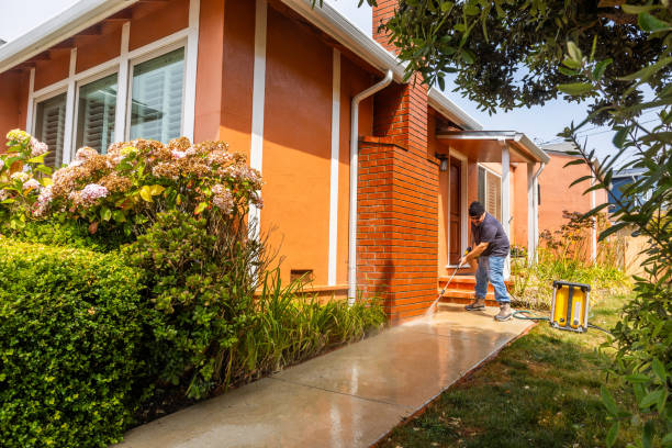 Best Pressure Washing Patio  in Davison, MI
